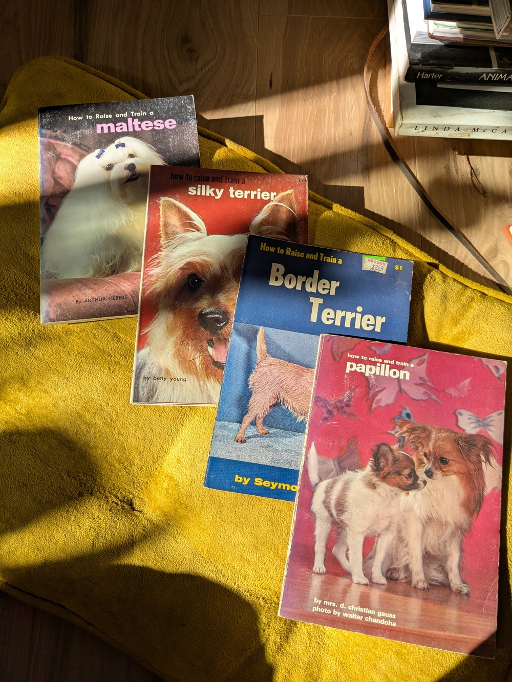 Vintage How to Raise and Train Small DOG Breeds Book Set